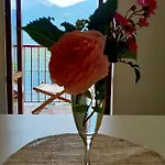Viewtiful Homestay شقة