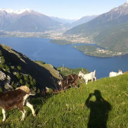 Viewtiful Homestay アパート Stazzona