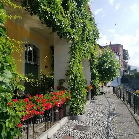 Viewtiful Homestay * Stazzona