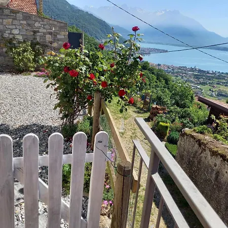 Viewtiful Homestay شقة Stazzona