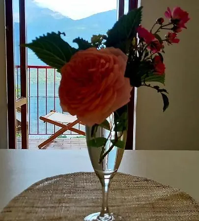 Viewtiful Homestay شقة