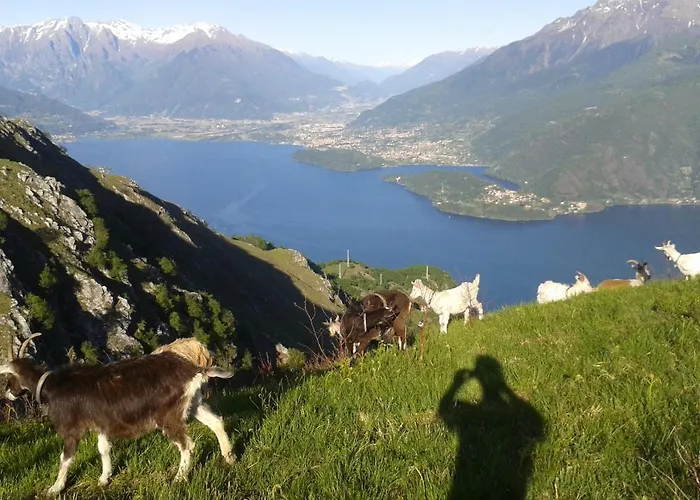 Viewtiful Homestay Lejlighed Stazzona